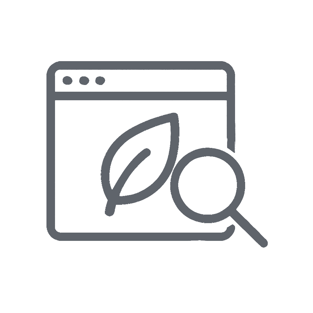 Website Design